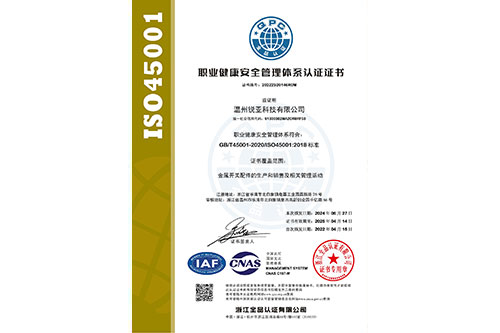 职业健康2024年中文证书中文S45001带标